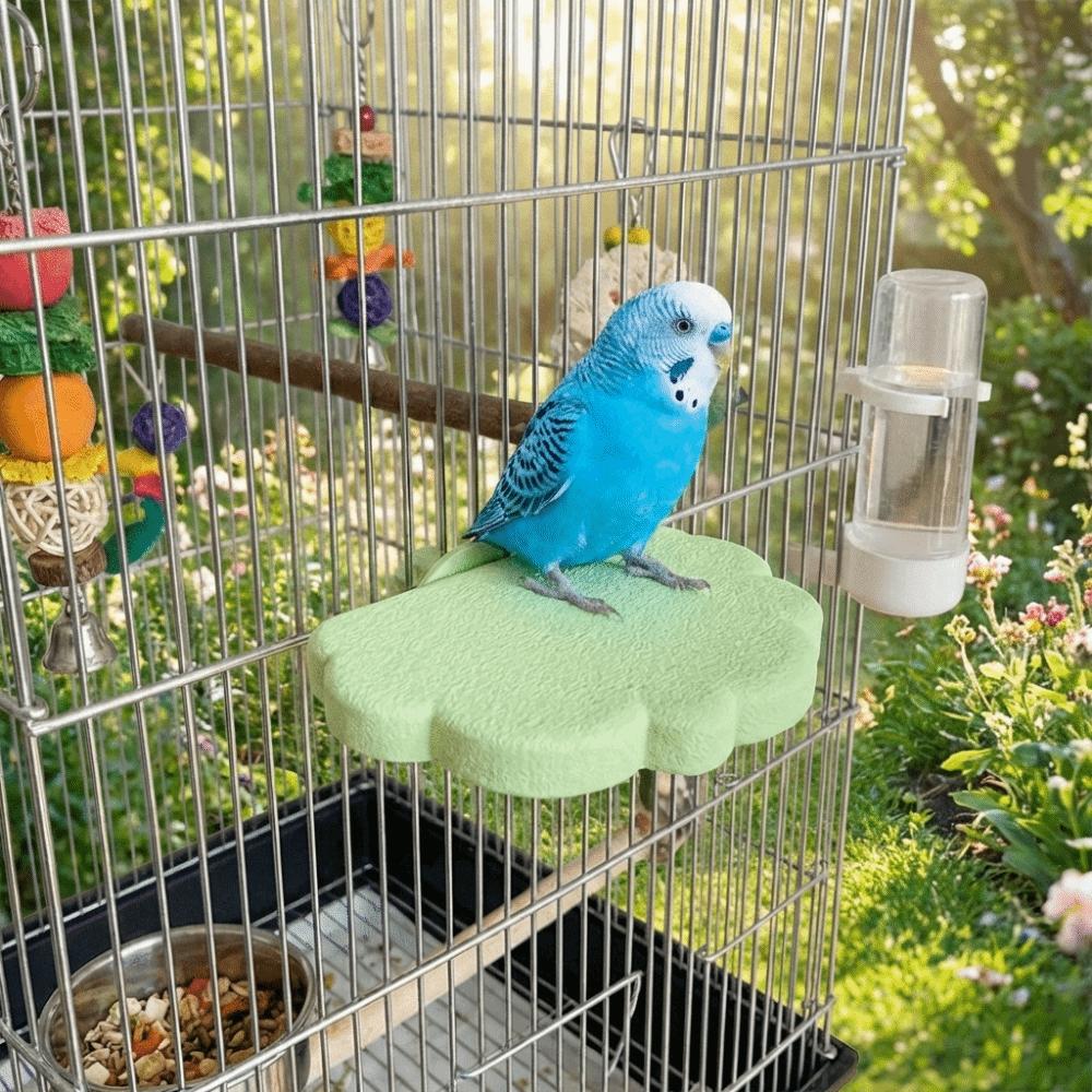 Wear Resistant Bird Resting Platform Cloud Shape Beak Grinding Stand Hopping Stand  Cockatiel