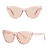 Cat's Eye Large Frame Decorative Glasses Frame Women's Computer Glasses