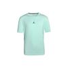 Jordan T Shirt Men's Mint Green DH8922-379