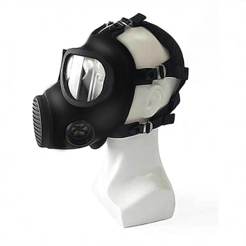 Longchan CF23 Full-Face Respirator Mask