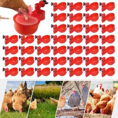 5/50 Piezas Taza de Bebida para Pollos Bebedero Automático Comedero para Pollos Bebedero para Pollitos Pato Ganso Codorniz