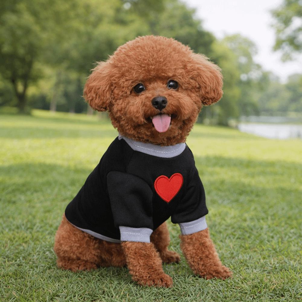 Warm Cat Pullover Thickened Cat Love Clothing Casual Style Dog Love Hoodie  Autumn Winter