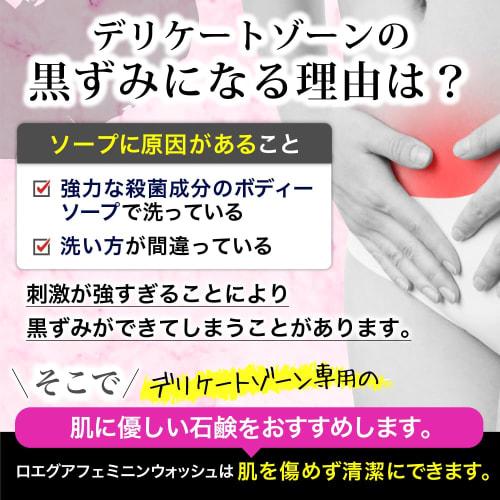 Loegua Feminine Wash, Deodorizing Soap for Delicate Areas, 140ml Refill Pouch, Made in Japan, Anti-Odor, Darkening Care