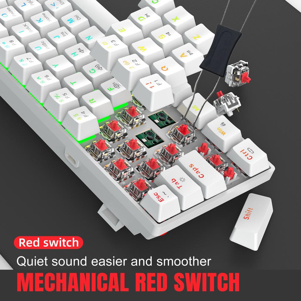 61 Key Mechanical Keyboard, RGB Backlit Gaming Keyboard, All Keys With No Conflicts, Hot Swappable Red Axis