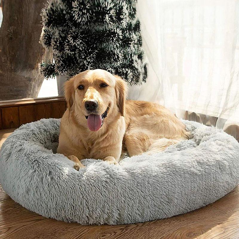 toy dog bed
