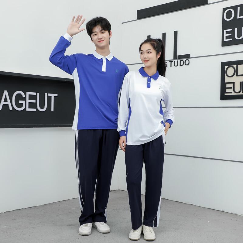 Chuangtong Premium Shenzhen School Uniform Boys' Long-Sleeve Cotton T-Shirt