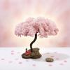 Miniature Cherry Blossom Tree Model Fine Workmanship Flowering Pink Blossoms