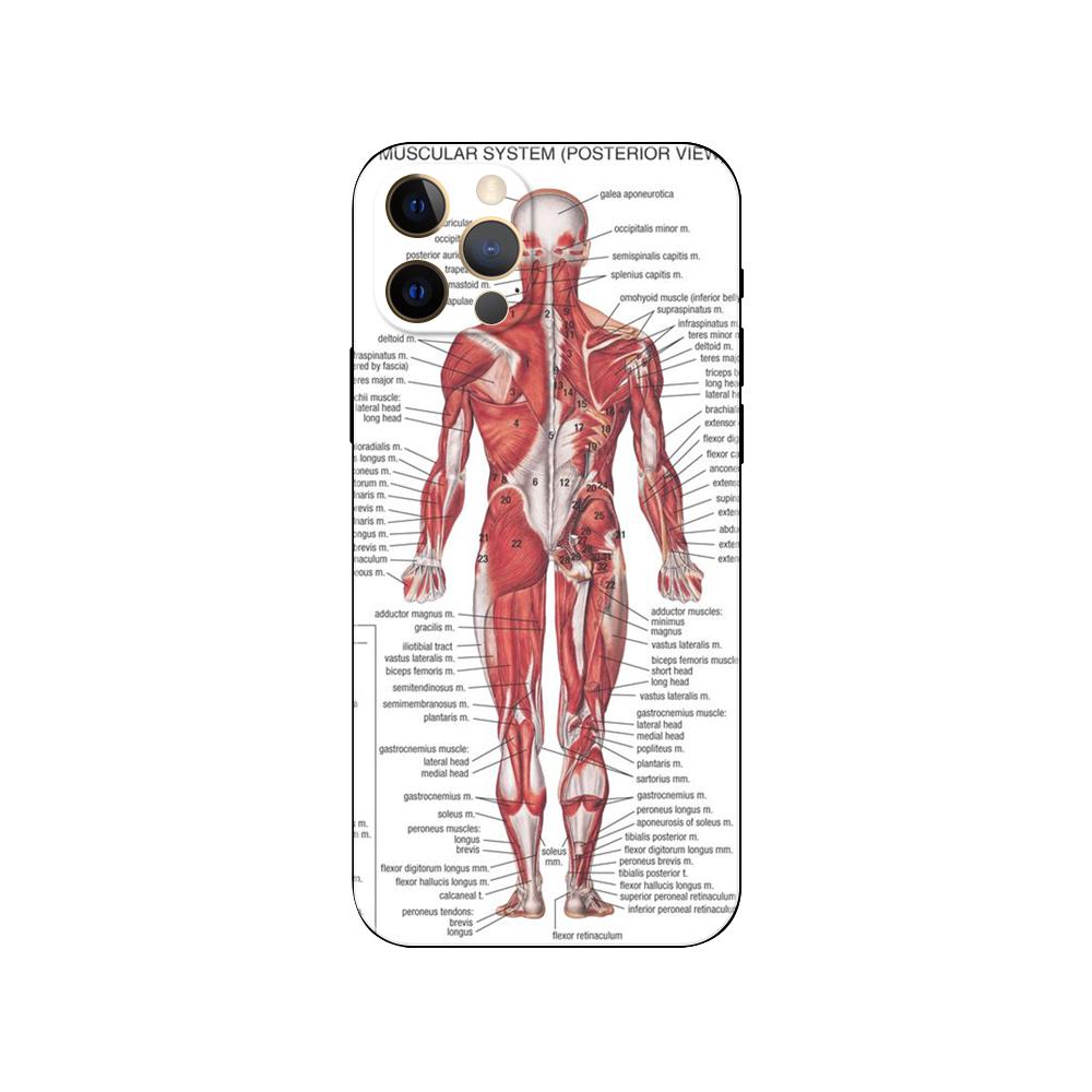 Human Skeleton Print Phone Case for Iphone 14 5s 2020se 6 6s 7 8 Plus X 10 XR XS 11 12 13 Mini Pro MAX Black Tpu Back Cover