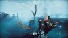The Day One Edition North Xbox Series X Falconeer (Import America) -