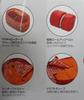 Coleman Mummy Adjustable Sleeping Bag 2000027271 Kids' C4, 4°C (Mummy Style), Orange,