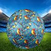 1pc Winter Birds Scene Theme Soccer Ball Football, Size 5, Lightweight PVC, Durable Outdoor Training Soccer Ball, Gift m61475