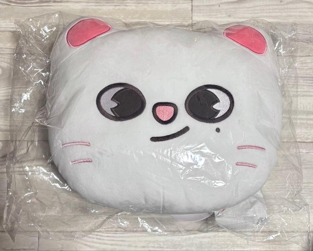 [USED] Straykids SKZOO Genielet Cushion Hyunjin