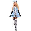 Alice Wonderland, Maid Dress, Maid Dress, Princess Dress Queen Halloween Costume