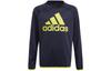 Kids Sweatshirts Crew Neck Moderate GN1481