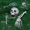 Halloween Realistic Skull Skeleton Head Human Hand Arms for Halloween Party Home Garden Lawn Decor Haunted House Horror Props