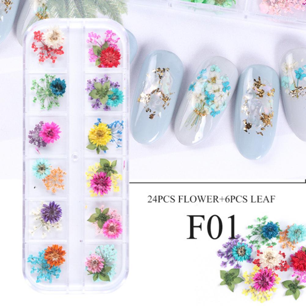 3D Nail Manicure Dried  Flowers 12 Kinds Colorful Realistic Diy Crafts Resin Jewelry Ornaments Phone Cases Invitation Cards Decor