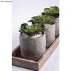 Artificial Plant - RAYHER - Green Echeveria - 8.5 X 3.5 Cm - Plastic - Decorative