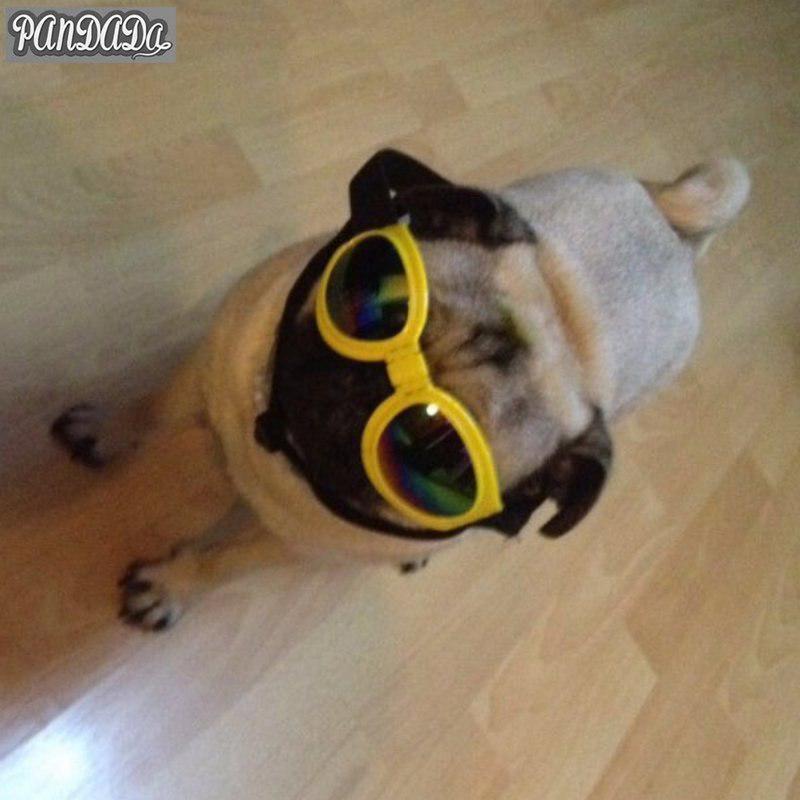 Goods For Dog Goggles Glasses For Dogs Pet Sunglasses Dog Protection UV Eyewear