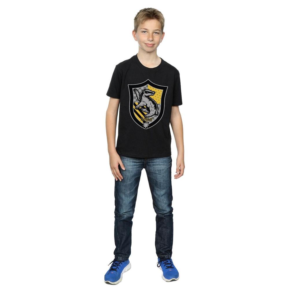 Harry Potter Boys Hufflepuff Crest Flat T-Shirt