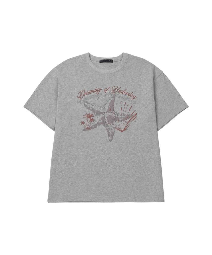 Ledeoli Ocean Haze Oversized Short Sleeve T-Shirt [Melange]