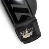 StormCloud Bolt 2.0 Boxing Gloves Black/Black 14oz