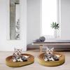 Cardboard Cat Scratcher, Scratch Bowl, Grinding Claw, Durable Recycle Board, Lounge Bed,