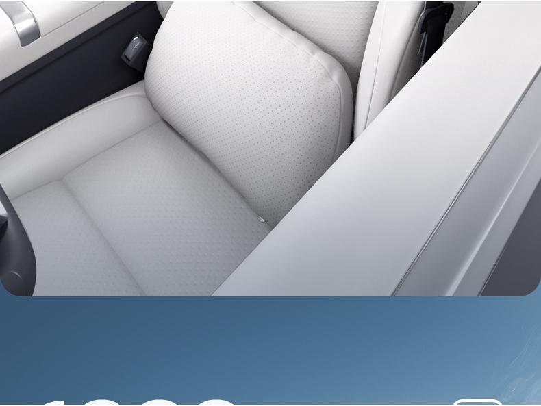 Zhijing Shijia Headrest & Lumbar Support Car Neck Pillow & Interior Accessory
