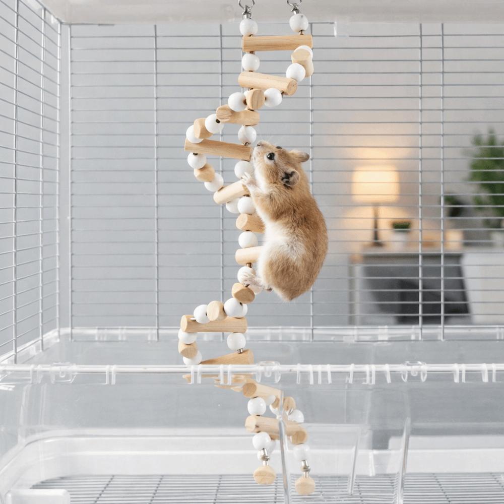 Wooden Parrots Perches Toys Sturdy Exercise Playstand Chew Toys Bird Cage Swing  Bird Training