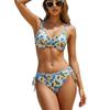 2026 Plavky Nové Dvoudílné Plavky s Potiskem Dámské Sexy Bikini Citronové Bikini Evropský a Americký Kostým