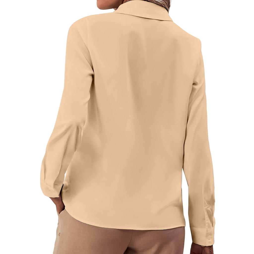 Ladies' Color Fashion Ruffle Edge Decorative Shirt Top