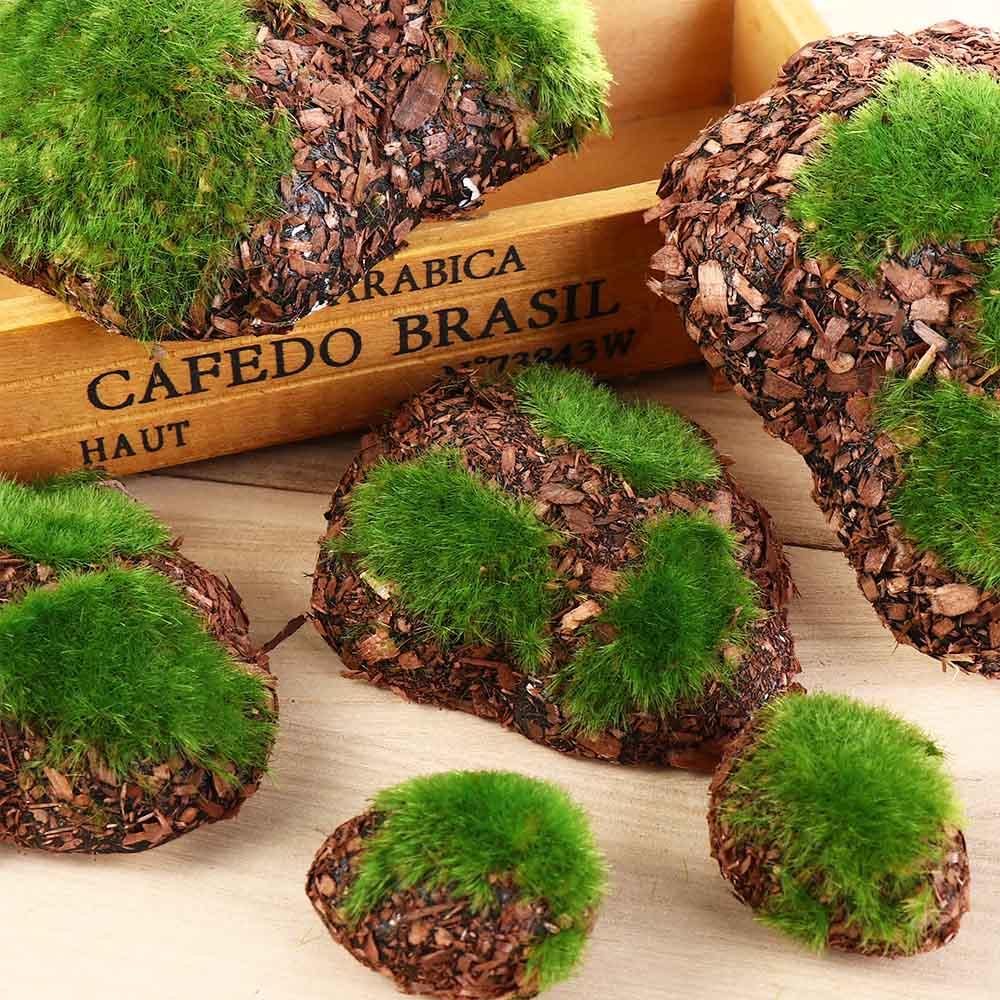 For Vase Glass Cylinder DIY Artificial Plant Moss Micro Landscap Fake Stone Rock Foam Moss Stone