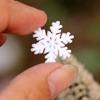10Pcs New Craft Accessories Resin Decor Landscape Ornament Snowflake Christmas Decoration Plant Pot