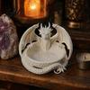 Gothic Home Decor 3D Printed Dragon Jewelry Tray Fantasy Catchall Key Desktop Storage Artifact Holder Medieval Gift for Fans Unique Bowl