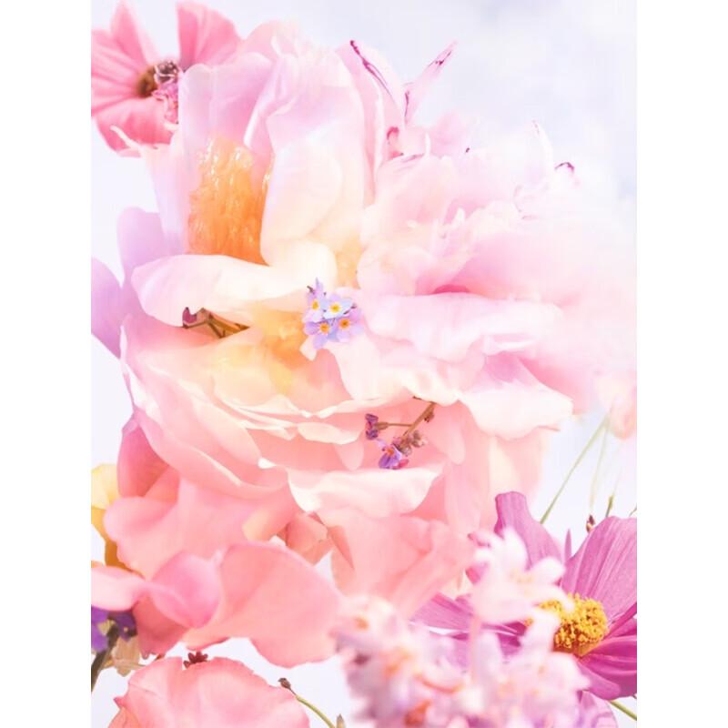 Dior Miss Dior Blooming Bouquet Eau de Toilette