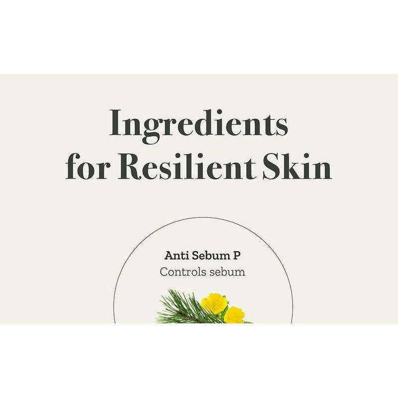 FULLY Green Tomato Cream