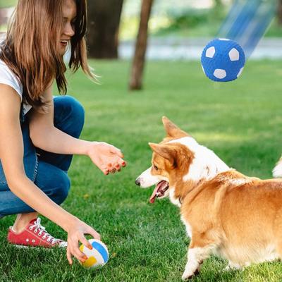 Psi – Hračky pro psy