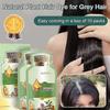 2025 Natural Plant Hair Dye, New Botanical Bubble Hair Dye 10Packs/Box
