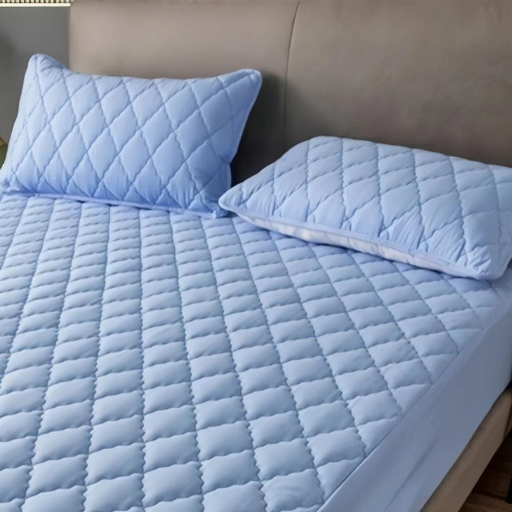 2 Piece Waterproof  Fabric Pillowcase Comfortable Plain Color Anti-Mite Anti-Bacterial Pillow Case Bedroom Home Decoration