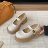 Platform Mary Jane single shoes women's autumn 2025 new muffin small man fashionable versatile word with small leather shoes