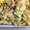 Hanging Bag 100Pcs Mesh Bags Convenient Reusable PE Breathable Garlic Storage Ginger Packing Net Sacks Plastic Buckles for Market