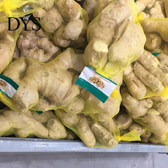 Hanging Bag 100Pcs Mesh Bags Convenient Reusable PE Breathable Garlic Storage Ginger Packing Net Sacks Plastic Buckles for Market