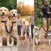 Reflective Strip Dual Dog Leash Elastic Stretch No-Twist Leash Two Way Dog Leash Multi Pet Control
