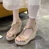 Bohemia Wedge Sandals for Women Summer Shoes 2025 Braided Band Platform Gladiator Sandals Woman Thick Bottom Beach Sandalias
