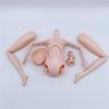Pregnant Barbie Doll with Baby, Family of Five Set, Perfect Playhouse Gift for Kids