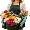 Harvest Apron 600D Oxford Waterproof Heavy Duty Harvesting Gardening Aprons for Women Men Gardeners Yard Farm Orchard Fruits