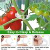 2026+ 250 Pcs Tomato Clips, Plant Support Clips and J Tomato Hooks, Plastic Trellis Clips Vegetable Cages Vine Garden Clips