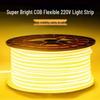 OEING 220V LED Soft Light Strip