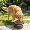 Non-Slip Elevated Pet Bowl No Spill with Stand Dog Water Bowl Large Capacity Cat Feeding Station Wet And Dry Food