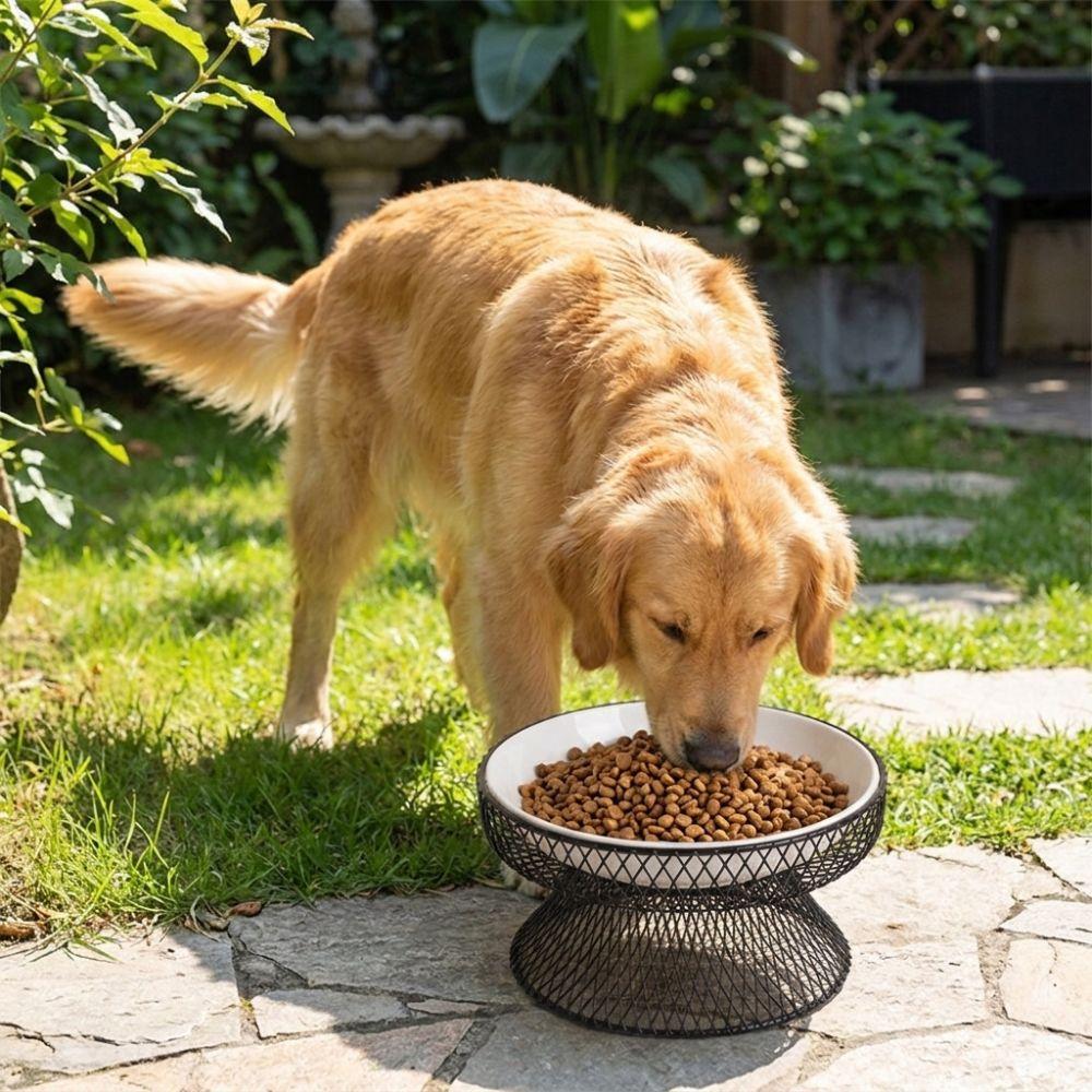 Non-Slip Elevated Pet Bowl No Spill with Stand Dog Water Bowl Large Capacity Cat Feeding Station Wet And Dry Food