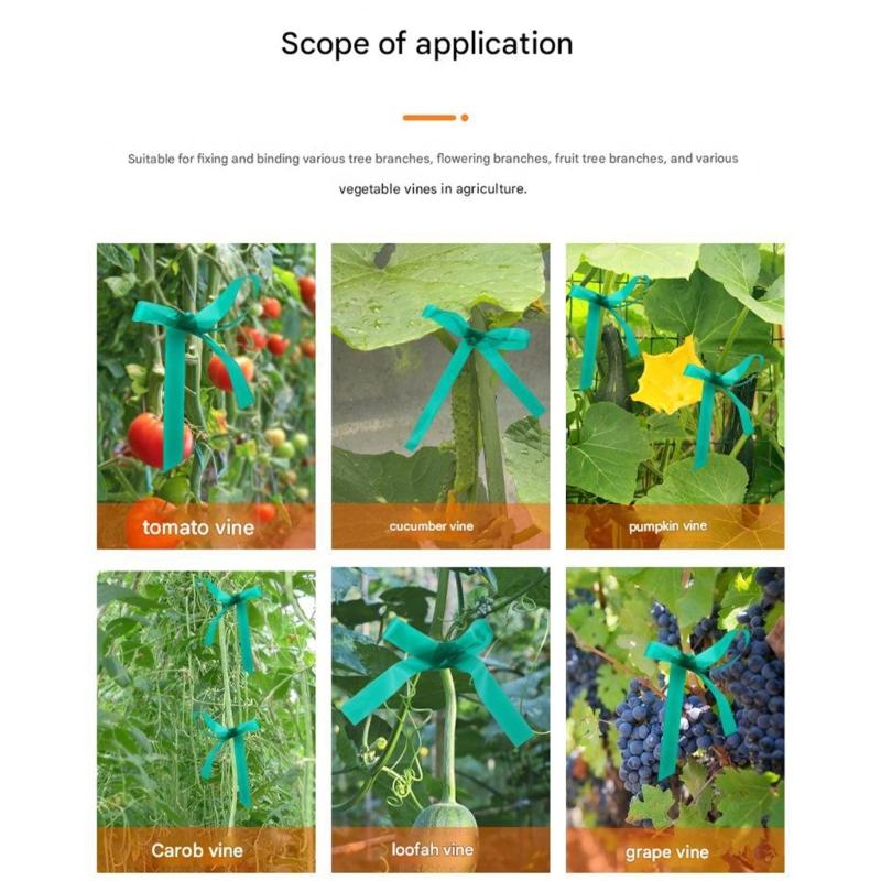 6 Roll 12/24mm Plant Tie Plant Bandage Garden Plant Support Tape Gardening Fastener Tape for Home Garden Accessories